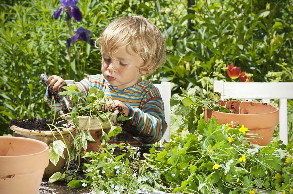Выращивание растения с ребенком